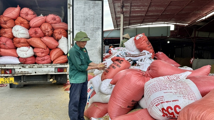 The current selling price of fresh rice is high, ranging from VND 6,500 to 6,800/kg, an increase of VND 500 - 1,000/kg in comparison to last year. Photo: Anh Nguyet.