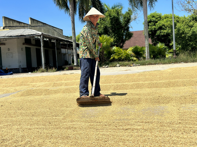 Bà con tranh thủ phơi lúa khi thời tiết nắng ráo. Ảnh: L.K.