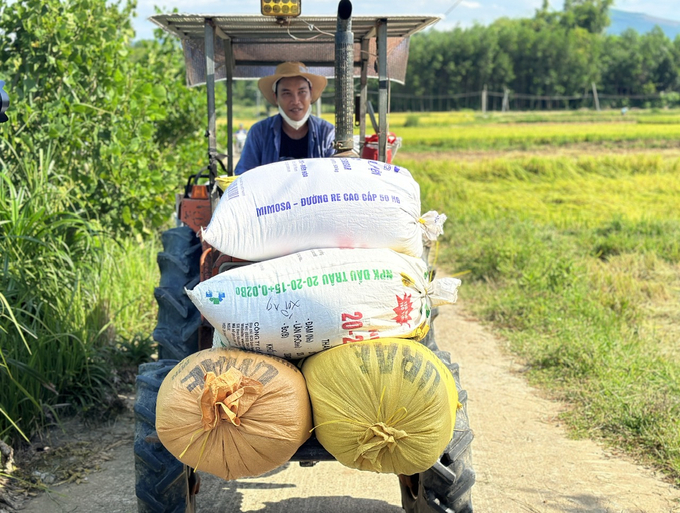 Giá lúa năm nay cao hơn so với năm ngoái khoảng 1.000 đồng/kg nên người dân có thêm lợi nhuận. Ảnh: L.K.