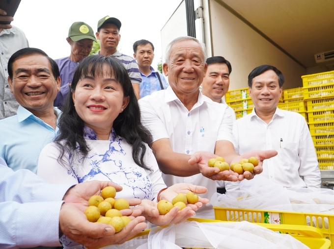 To promote sustainable development of the fruit industry, businesses and farmers need to coordinate closely and produce according to market requirements. Photo: Kim Anh.