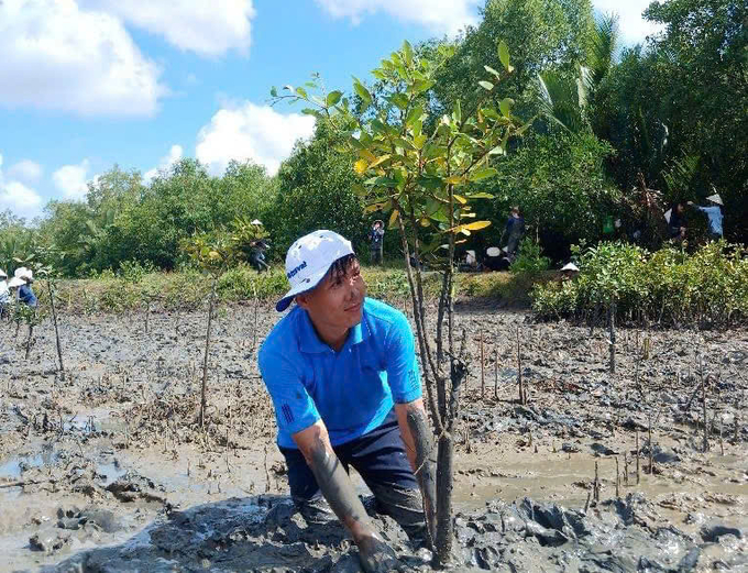 Residents of Can Gio District cultivate mangrove forests to combat climate change. Photo: Nguyen Thuy.