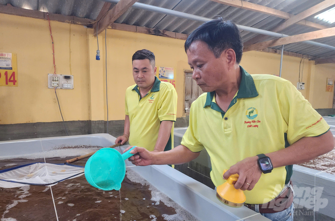 Ninh Thuận là địa phương sản xuất tôm giống hàng đầu nước ta với sản lượng trên 40 tỷ con/năm. Ảnh: PC.