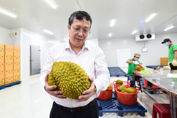 In recent years, Vietnamese fruits have continuously reached new, high-value markets. Photo: Tung Dinh.