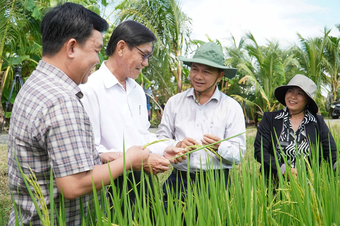 Mr. Tran Van Lau, Chairman of the People's Committee of Soc Trang province, suggested that the Department of Agriculture and Rural Development should pay attention to the production organization in the Project of 1 million hectares of high-quality rice systematically, professionally and modernly. Photo: Kim Anh.