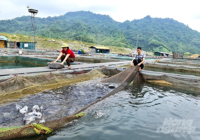 Sản lượng hơn 2.197 tấn thủy sản hằng năm là con số khá ấn tượng mà ngành thủy sản Na Hang đã đạt được. Ảnh: Đào Thanh.