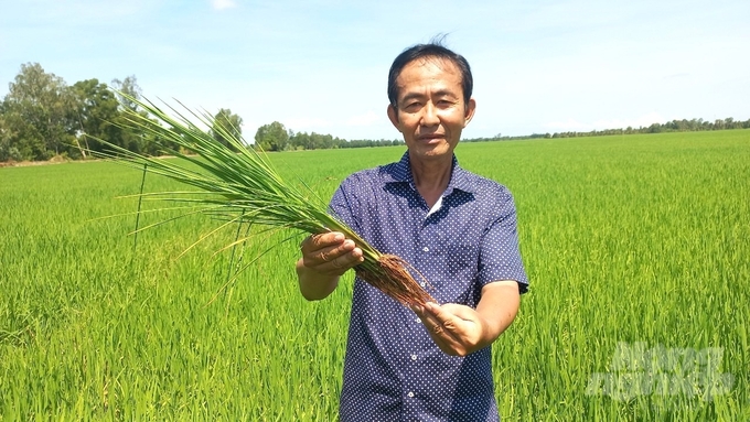 'OCOP là động lực để chúng tôi tạo ra sản phẩm mang giá trị đặc trưng của quê hương và cũng là cơ hội để tiếp cận và mở rộng thị trường', ông Nguyễn Văn Thích, Giám đốc HTX Lúa gạo Tân Long tâm sự. 