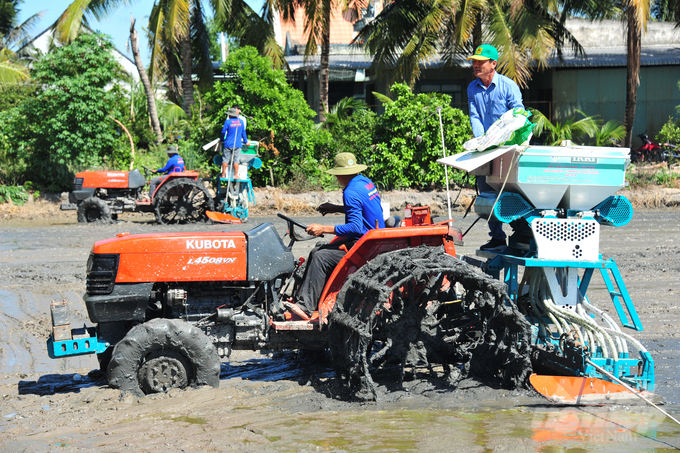 The Mekong Delta is implementing the Scheme for sustainable development of 1 million ha of high-quality, low-emission rice with great enthusiasm. Photo: Le Hoang Vu.