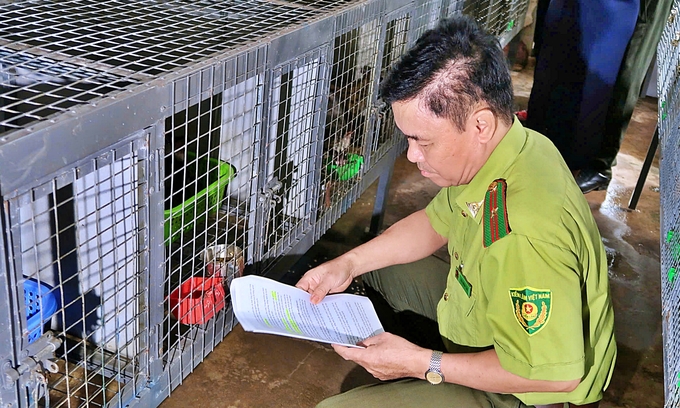 Bui Minh Tan, Sub-Department of Forest Protection, guides farmers in preventing infectious diseases from animals. Photo: ILRI.