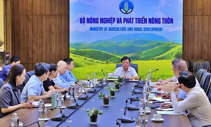 Minister Le Minh Hoan chairs the meeting between the Ministry of Agriculture and Rural Development and the Ministry of Industry and Trade on the Fruit Festival in September 2024. Photo: Bao Thang.