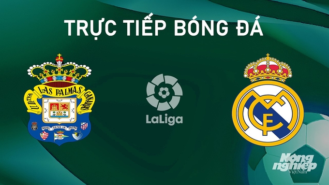 Trực tiếp bóng đá La Liga 2024/25 giữa Las Palmas vs Real Madrid ngày 30/8/2024