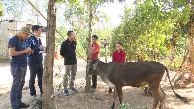 Trước những sai phạm trong vụ cấp bò, Chủ tịch xã Ngọk Wang đã bị kỷ luật khiển trách. Ảnh: Tuấn Anh.