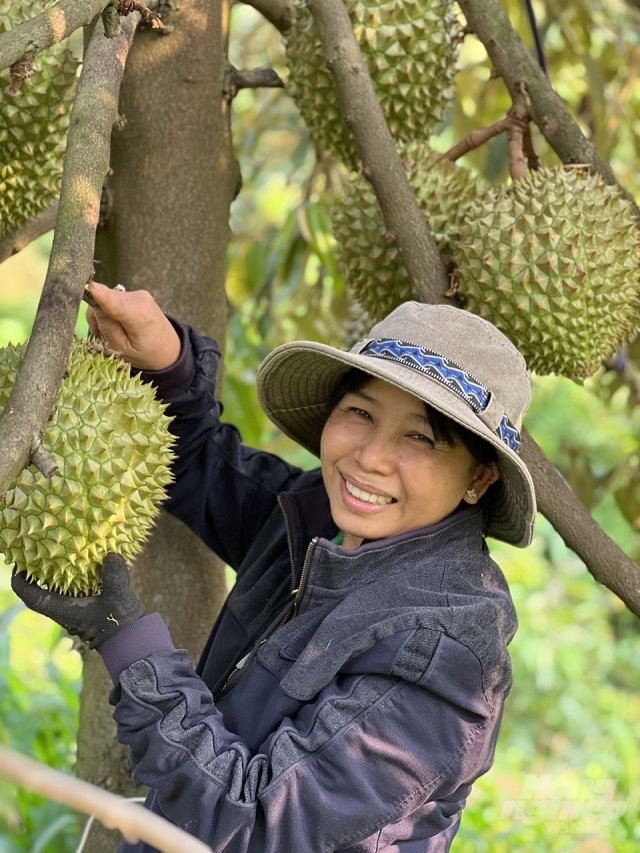 Dong Nai province has formed 15 production areas following the organic agriculture approach. Photo: Minh Sang.