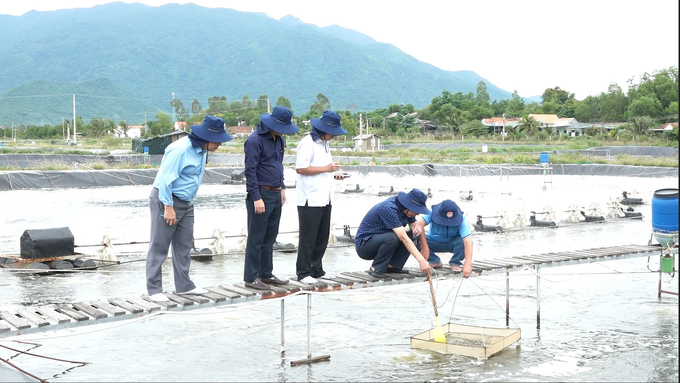 Cán bộ NAFIQPM đồng hành cùng người dân và doanh nghiệp từ ao nuôi đến bàn ăn.