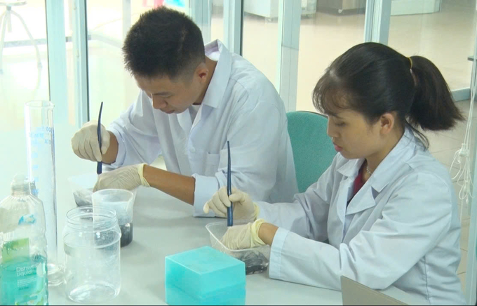 Scientists at RIMF cultivate elkhorn sea moss tissue. Photo: Dinh Muoi.