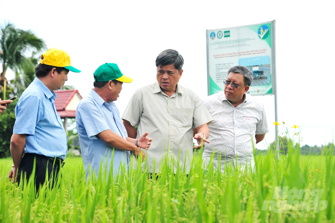 Deputy Minister of Agriculture and Rural Development Tran Thanh Nam surveying the rice production model under the Project for one million hectares of high-quality, low emission rice at Thang Loi Cooperative, Lang Bien Commune, Thap Muoi District. Photo: Le Hoang Vu.