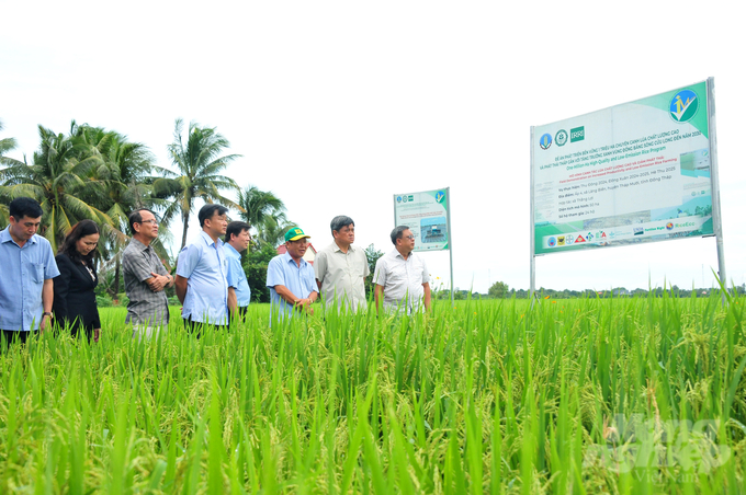 The rice production model under the 'Sustainable Development of 1 Million Hectares of High-Quality, Low-Emission Rice Associated with Green Growth in the Mekong Delta' project at Thang Loi Cooperative, Lang Bien Commune, Thap Muoi District, Dong Thap Province. Photo: Le Hoang Vu.