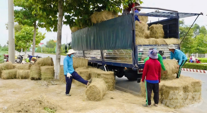 Theo tính toán, chỉ riêng nguồn thu từ việc bán rơm rạ từ Đề án 1 triệu ha lúa chất lượng cao, phát thải thấp vùng ĐBSCL sẽ mang lại nguồn thu lớn. Ảnh: MV.