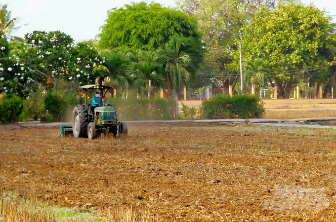 Đề án cần phải hoàn thiện và bảo đảm được yếu tố kỹ thuật cho sản xuất lúa chất lượng cao và hoàn thiện được cơ sở hạ tầng giao thông đồng ruộng, thủy lợi, cơ giới hóa đồng bộ…, đảm bảo sản xuất trên quy mô lớn. Ảnh: MV.