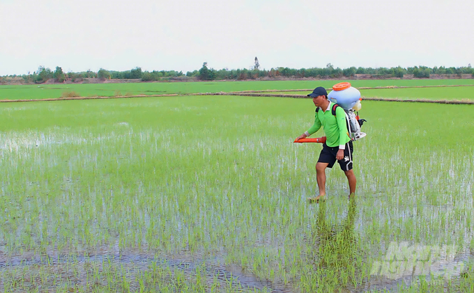 Nhiều nông dân hiện vẫn chưa hiểu rõ được về Đề án triển khai như thế nào và chính sách hỗ trợ ra sao nên họ thực sự chưa quan tâm. Ảnh: MV.