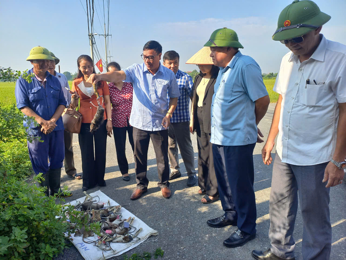 Ông Nguyễn Mạnh Phương, Phó Giám đốc Sở NN-PTNT Hà Nội (thứ 2 từ phải qua) sau khi kiểm tra việc áp dụng bẫy bán nguyệt diệt chuột tại xã Đông Lỗ, huyện Ứng Hòa đã đề nghị Chi cục trồng trọt và Bảo vệ thực vật tiếp tục duy trì và nhân rộng mô hình. Ảnh: Trần My.