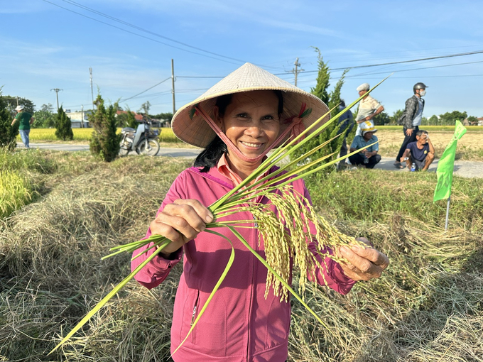 Những giống lúa của Vinaseed luôn mang đến niềm vui cho bà con nông dân với những mùa vụ bội thu. Ảnh: L.K.