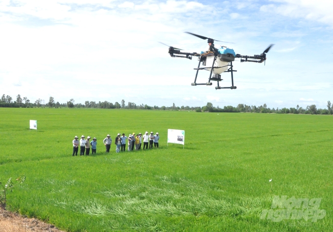 The pilot model at Phu Hoa Thanh nien Agricultural Service Cooperative applies synchronous mechanization in rice production with the participation of supporting units in terms of materials and mechanization equipment. Photo: Trung Chanh.