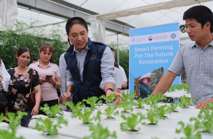 Hydroponic vegetable growing model in a greenhouse at Moc Chau High-Tech Agricultural Application Center. Photo: Quynh Chi.