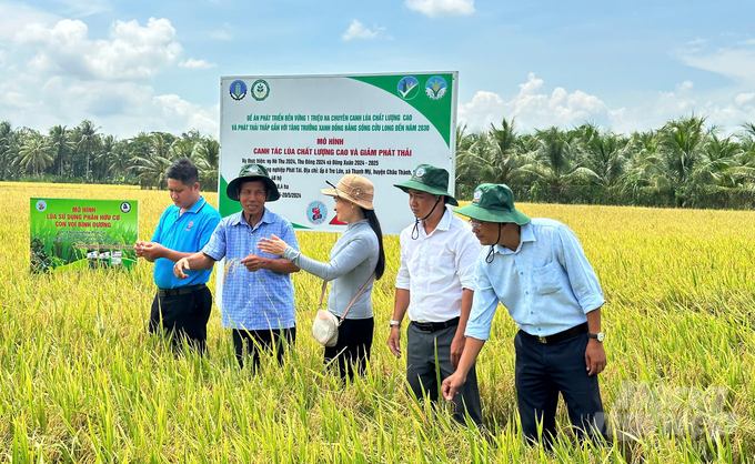 Members of Phat Tai Cooperative discuss with agricultural extension officers and businesses supporting the model about alternate flooding and drying farming techniques. Photo: Ho Thao.