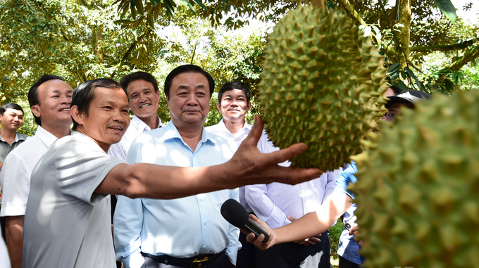 Minister Le Minh Hoan visits a durian garden in Dak Lak province. Photo: Tung Dinh.