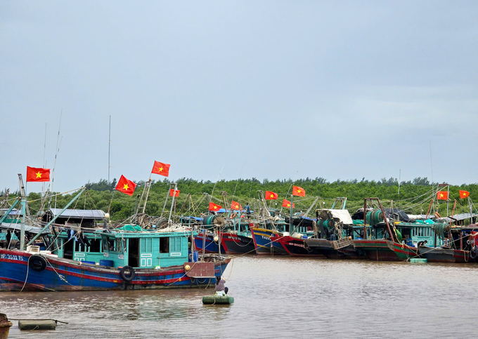 Trên địa bàn thành phố Hải Phòng hiện tại có 971 tàu cá, trong đó 916 tàu cá đủ điều kiện hoạt động khai thác thủy sản. Ảnh: Đinh Mười.