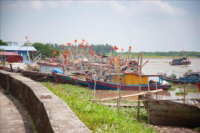 Tàu thuyền chủ động neo đậu tránh trú bão tại Cảng cá Tân Sơn (thị trấn Diêm Điền, huyện Thái Thụy, tỉnh Thái Bình). Ảnh: Vũ Quang.