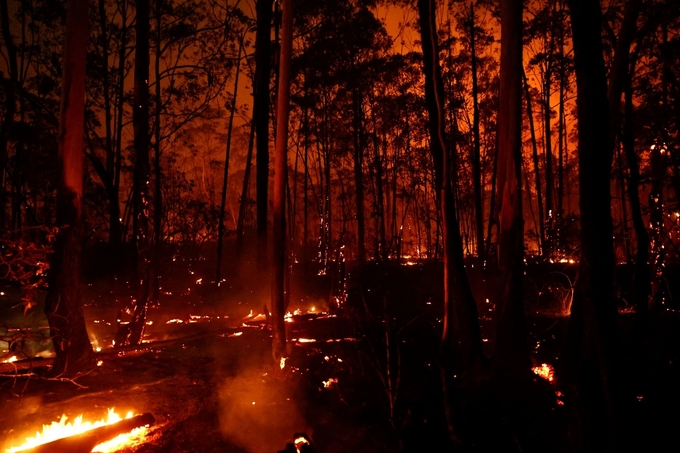 Một đám cháy tại rừng quốc gia Brasilia ở Brazil hôm 4/9. Ảnh: Reuters.