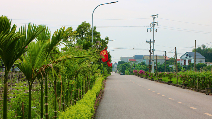 Một tuyến đường được xây dựng theo tiêu chí kiểu mẫu ở thôn Cao Thượng, xã Tân Hưng. Ảnh: Thanh Phương.