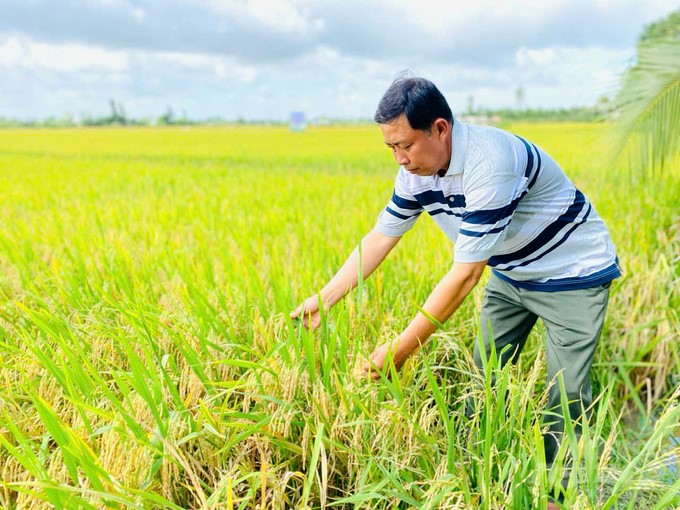 At Thanh Phu Cooperative, GIC's support in business training for farmers has helped improve knowledge of management organization, administration, and business linkages in product consumption. Photo: Le Hoang Vu.