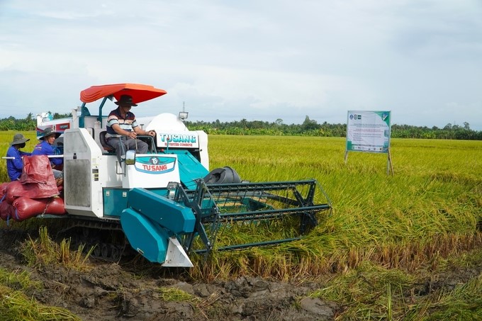 Mekong Delta localities had plans to expand the 1 million hectares of high-quality rice project. Photo: Kim Anh.