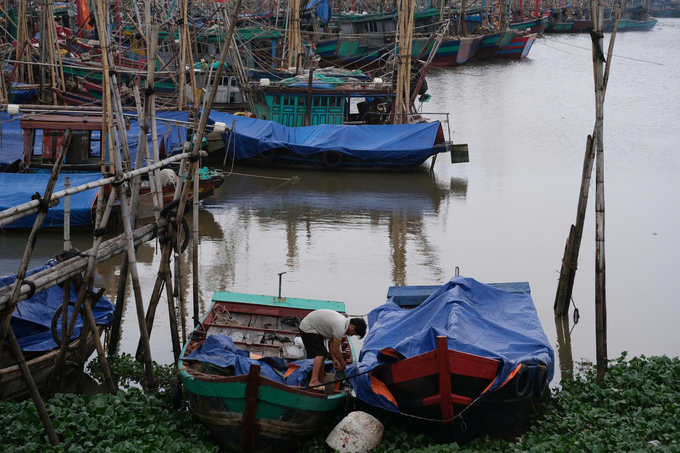 Tại cống Quần Vinh (huyện Nghĩa Hưng, Nam Định), rất nhiều ngư dân đã hàng giờ bên con thuyền của mình để phủ bạt, che đậy… bảo quản tài sản của cả gia đình trước khi bão đổ bộ. Ảnh: Kiên Trung.