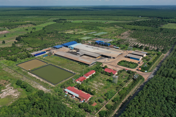 The view of the latex processing factory of Tan Bien Kampong Thom Rubber. Photo: Tung Dinh.