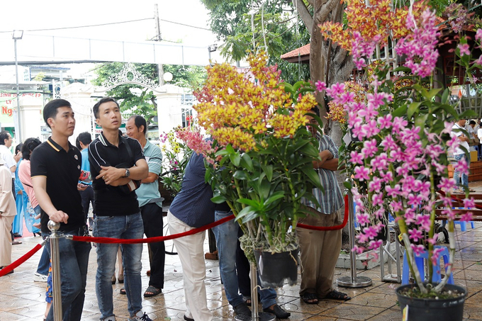 Đông đảo khách đến tham quan và thưởng lãm hoa lan dự thi. Ảnh: Minh Đảm.