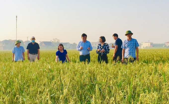 Tỉnh Thái Nguyên đang hướng đến nền nông nghiệp bền vững, giảm thiểu phát thải khí nhà kính. Ảnh: Phạm Hiếu.