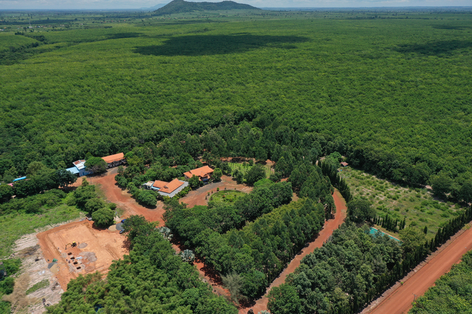 The headquarters of Phuoc Haa Kampong Thom Rubber Development Co., Ltd. is designed with Cambodian architectural style, nestled within the rubber forest. Photo: Tung Dinh.