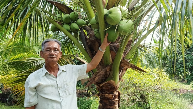 Dừa là ngành hàng có giá trị lớn, đặc biệt trong xuất khẩu. Ảnh: Kim Anh.