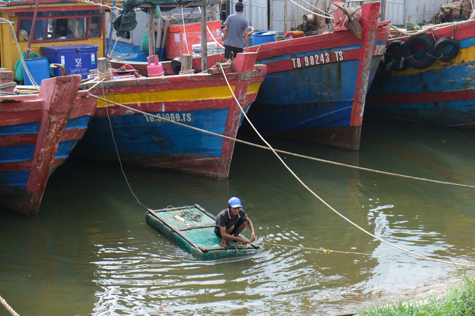 Ngư dân Thái Bình neo đậu tàu tại cảng cá Tân Sơn.