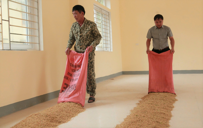 Huyện Hưng Nguyên điều động lực lượng hỗ trợ nông dân gặt, di chuyển lúa đến nơi an toàn. Ảnh: Ngọc Linh.