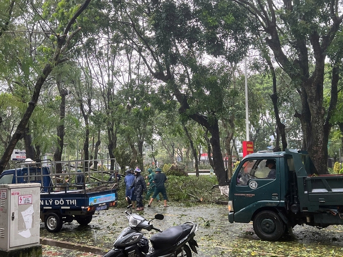 Tại huyện Tiên Lãng và huyện Vĩnh Bảo, một số cây xanh ven đường bị đổ ngã đã được các cơ quan và các xã tập trung khắc phục đảm bảo giao thông. Chưa ghi nhận thiệt hại về người và tài sản có giá trị.