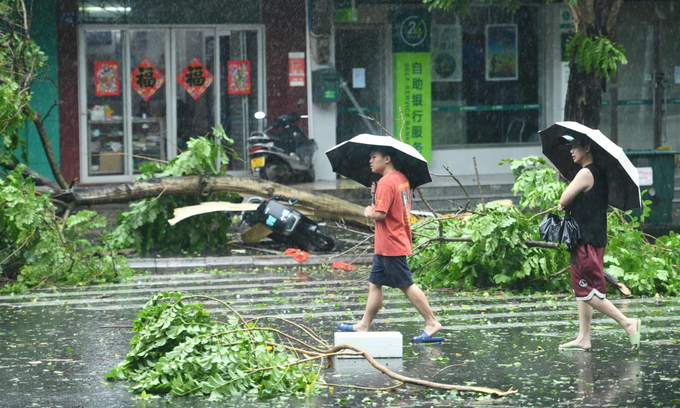 Người dân đi ngang qua những cây đổ giữa gió mạnh và mưa lớn khi bão Yagi đổ bộ vào tỉnh Hải Nam, Trung Quốc. Ảnh: Getty Image. 