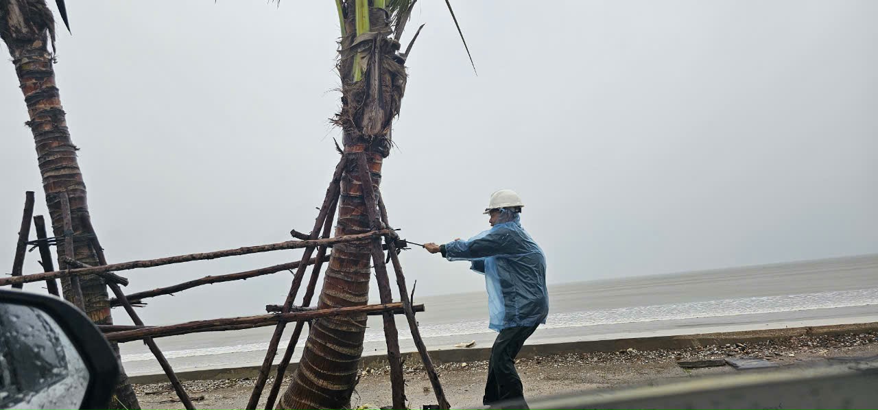 Nhập chú thích ảnh