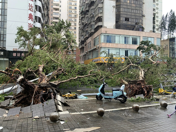 Nhiều cây lớn bật gốc, chắn ngang đường tại thành phố Hải Khẩu, Hải Nam. 