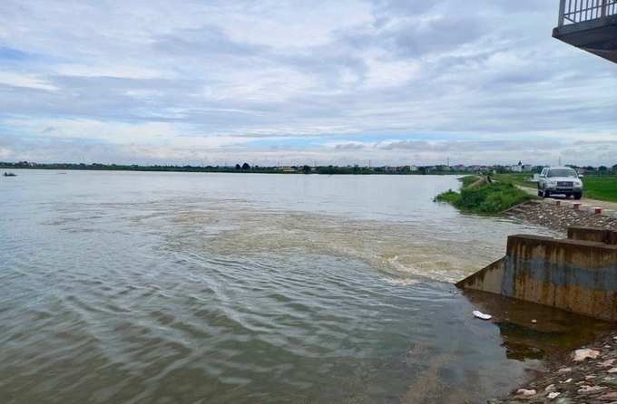 Nước sông Bùi đang lên nhanh.