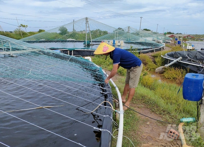 Sau khi bão tan các hộ nuôi tôm trên địa bàn huyện Kim Sơn đã nhanh chóng quay trở lại nhịp sản xuất. Ảnh: Trung Quân.