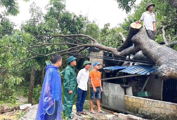 Theo số liệu đến 17 giờ ngày 8/9 của Ban Chỉ huy Phòng chống Thiên tai và Tìm kiếm cứu nạn tỉnh Tuyên Quang, mưa lớn kèm gió lốc trên địa bàn tỉnh Tuyên Quang đã khiến 138 nhà dân tại các huyện Sơn Dương, Chiêm Hóa, Hàm Yên, thành phố Tuyên Quang và huyện Na Hang bị hư hỏng. Huyện Sơn Dương bị ảnh hưởng nặng nề nhất với 131 nhà tại các xã Đại Phú, Sơn Nam, Thiện Kế, Đông Lợi, Ninh Lai, Tam Đa.